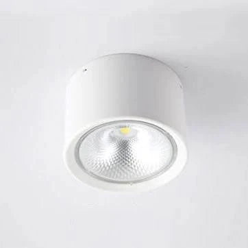 Ceiling Spotlight Adjustable LED Flush-Mount
