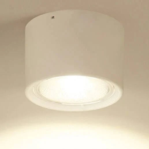 Ceiling Spotlight Adjustable LED Flush-Mount