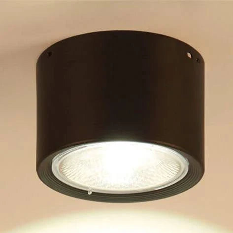 Ceiling Spotlight Adjustable LED Flush-Mount
