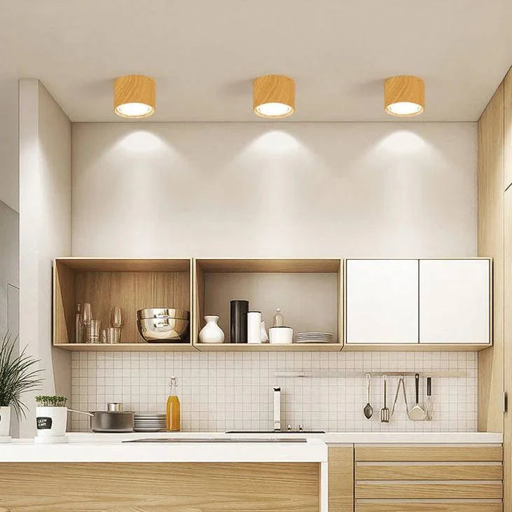Ceiling Spotlight Adjustable LED Flush-Mount