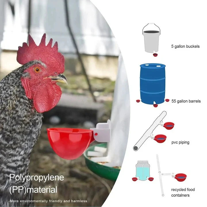 Chicken Waterer Cups Automatic Gravity-Fed Leak-Proof Set of 10