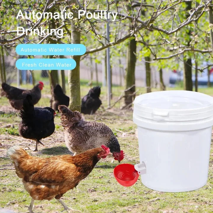 Chicken Waterer Cups Automatic Gravity-Fed Leak-Proof Set of 10