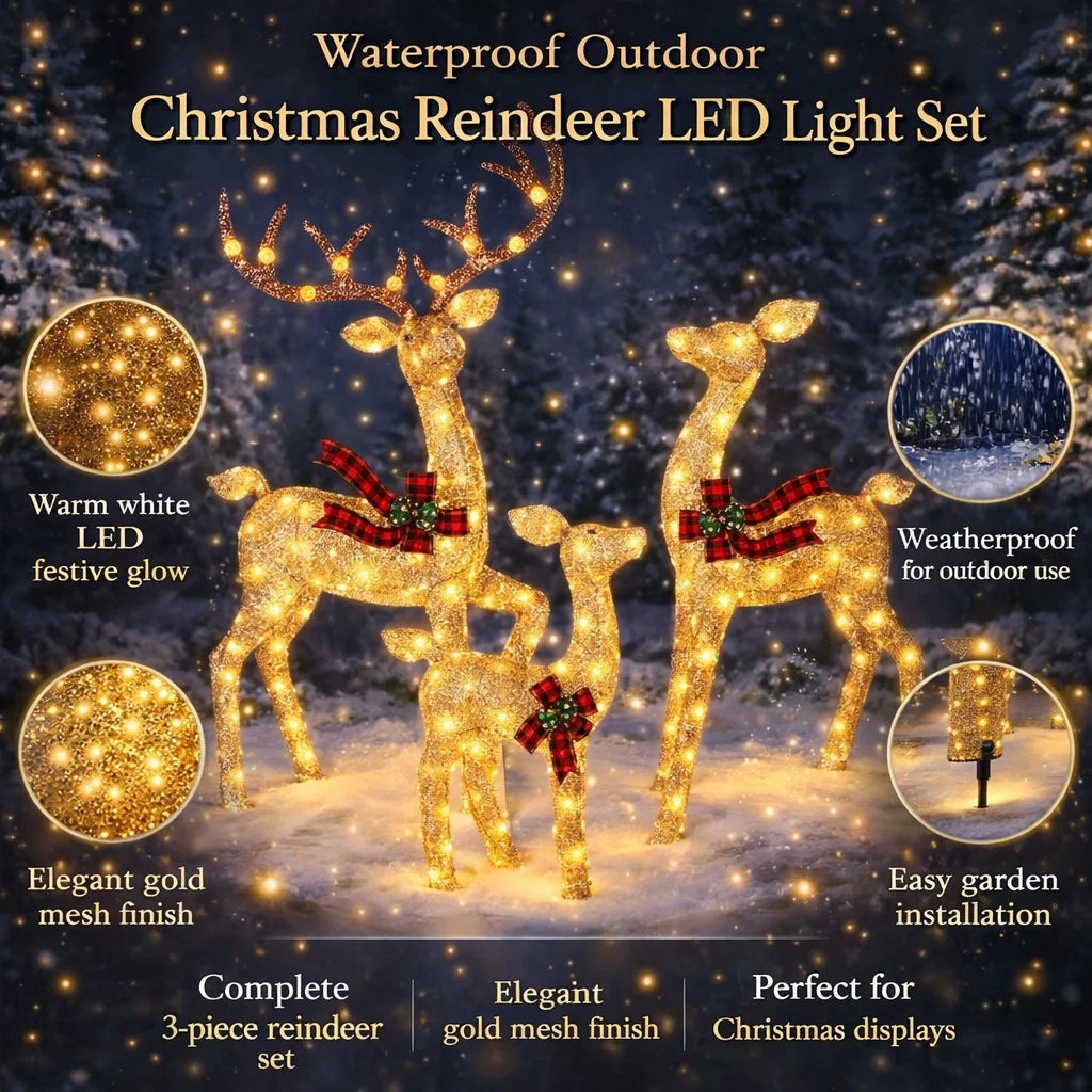 Christmas Reindeer Decorations Set of 3 Warm White LED