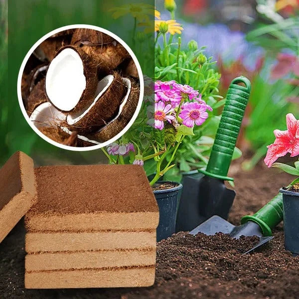 Coco Coir Growing Medium Compressed Expands With Water