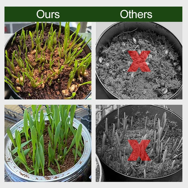 Coco Coir Growing Medium Compressed Expands With Water