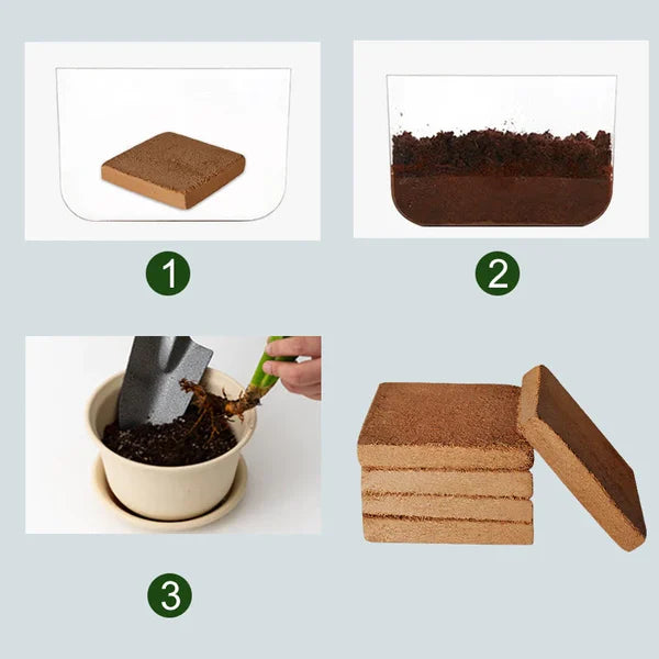 Coco Coir Growing Medium Compressed Expands With Water