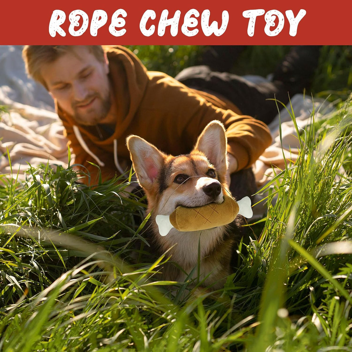 Dog Advent Calendar 12-Day Toy Assortment With Balls & Rope Toys