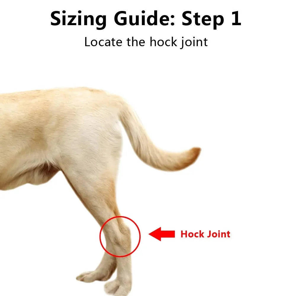 Dog Ankle Support Brace Neoprene Adjustable Reflective Strips