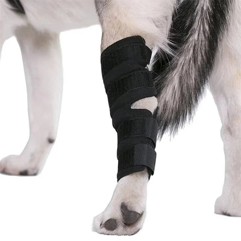 Dog Ankle Support Brace Neoprene Adjustable Reflective Strips