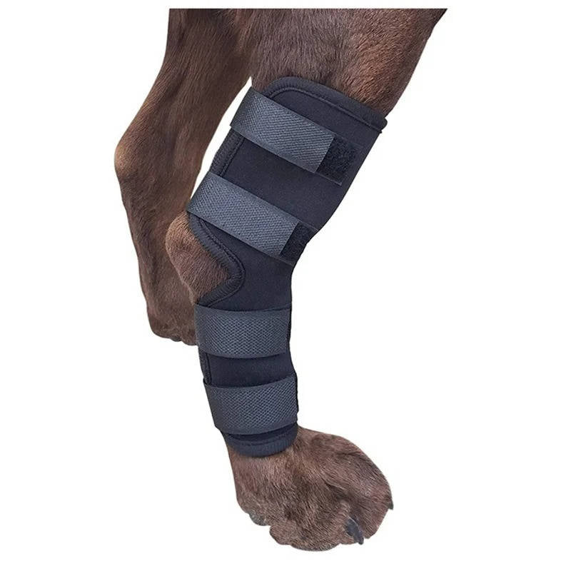 Dog Ankle Support Brace Neoprene Adjustable Reflective Strips