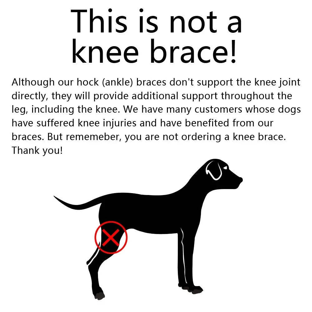 Dog Ankle Support Brace Neoprene Adjustable Reflective Strips