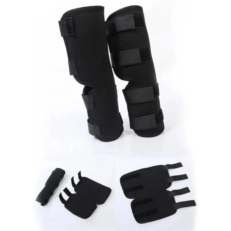 Dog Ankle Support Brace Neoprene Adjustable Reflective Strips