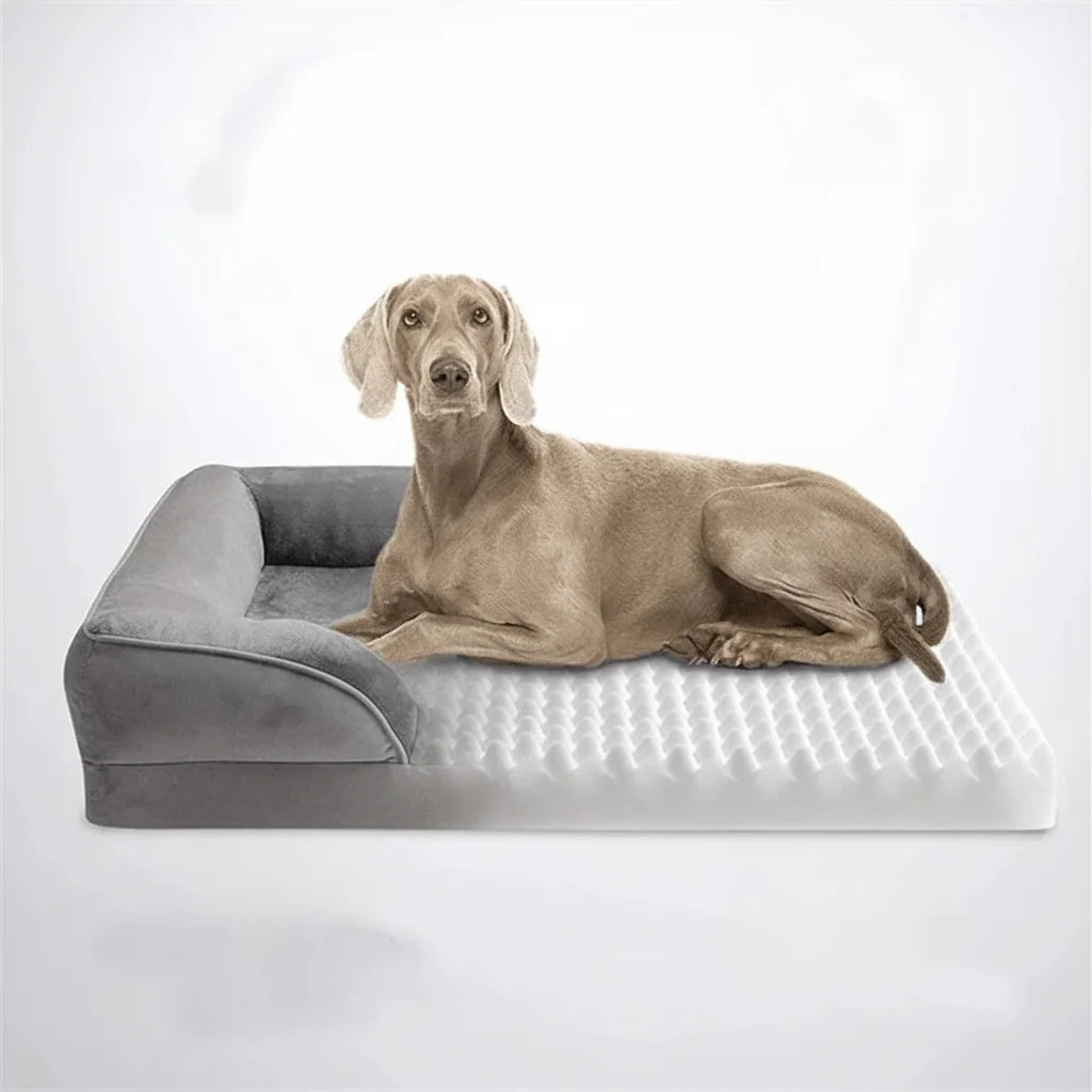 Dog Bed Orthopedic Foam Removable Machine-Washable Velvet Cover