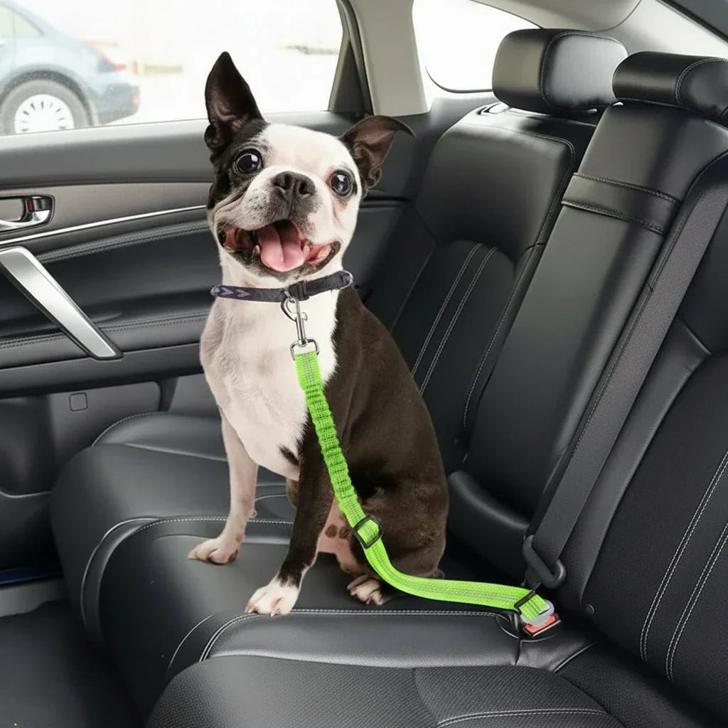 Dog Car Safety Belt Adjustable Nylon Elastic Shock Absorber