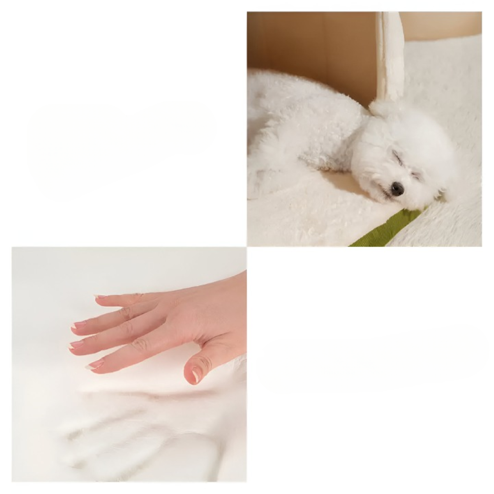 Dog & Cat Bed 2-in-1 Convertible Orthopedic Foam Machine-Washable