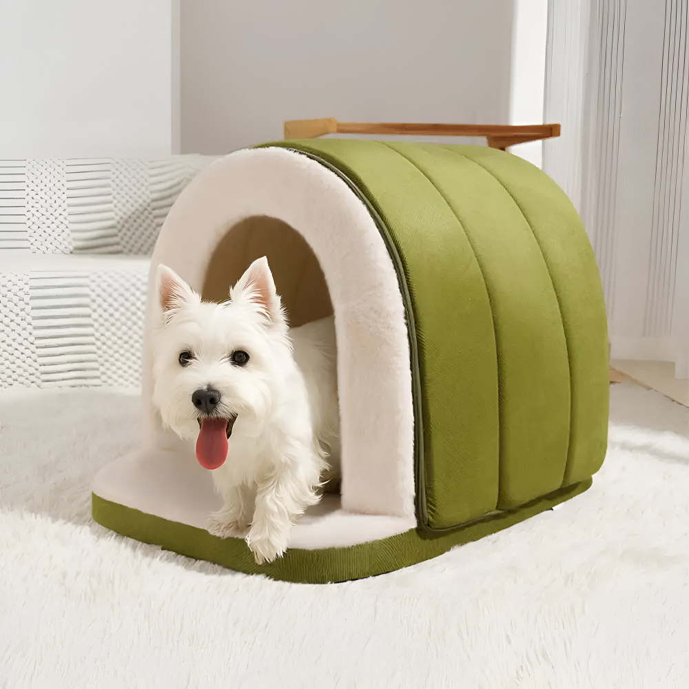 Dog & Cat Bed 2-in-1 Convertible Orthopedic Foam Machine-Washable