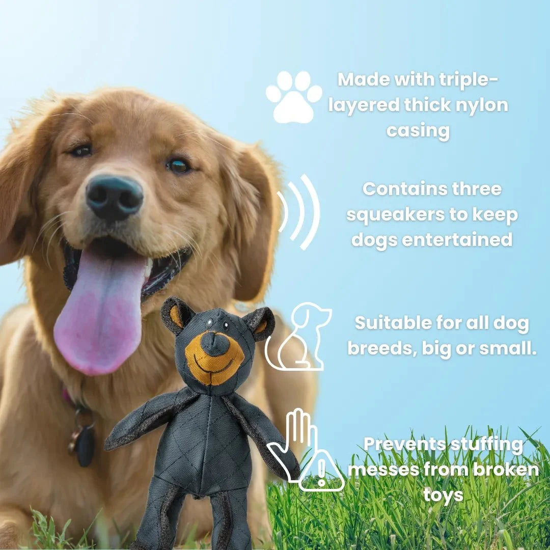 Dog Chew Toy Reinforced Core Textured Dental Surface Buoyant