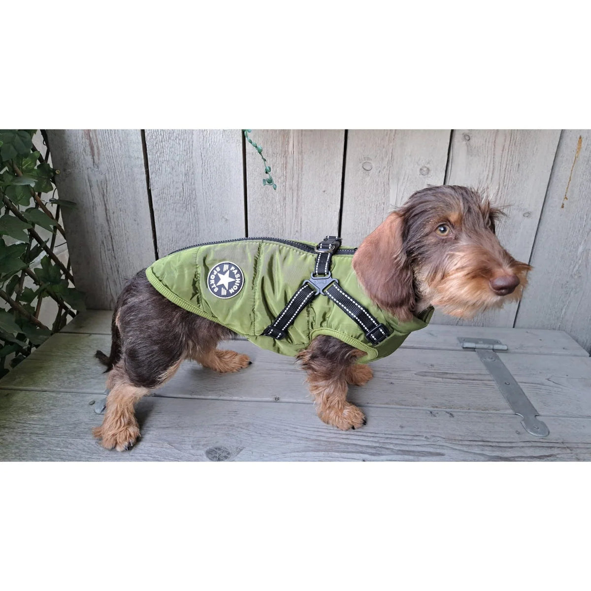 Dog Coat Padded Warm Lining Integrated Harness