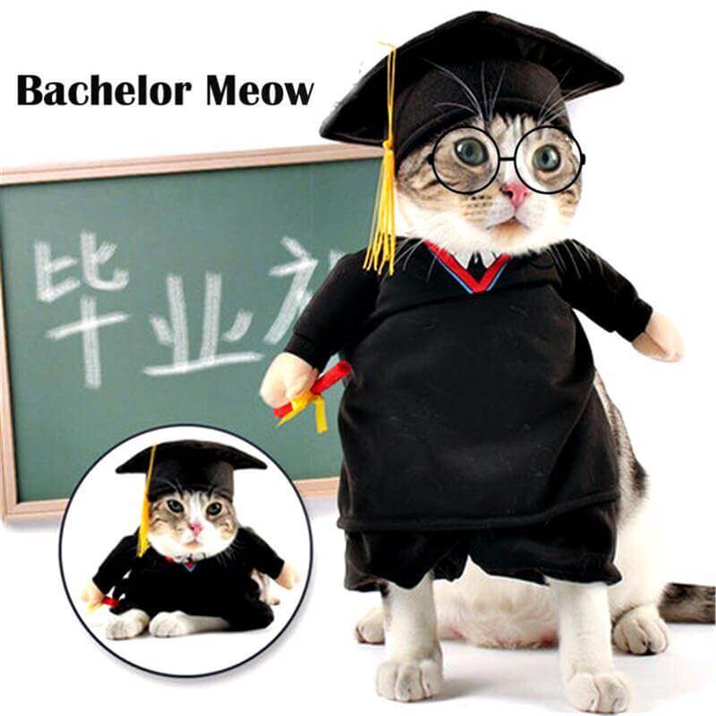 Dog Costume Professor Outfit Breathable Cotton Blend