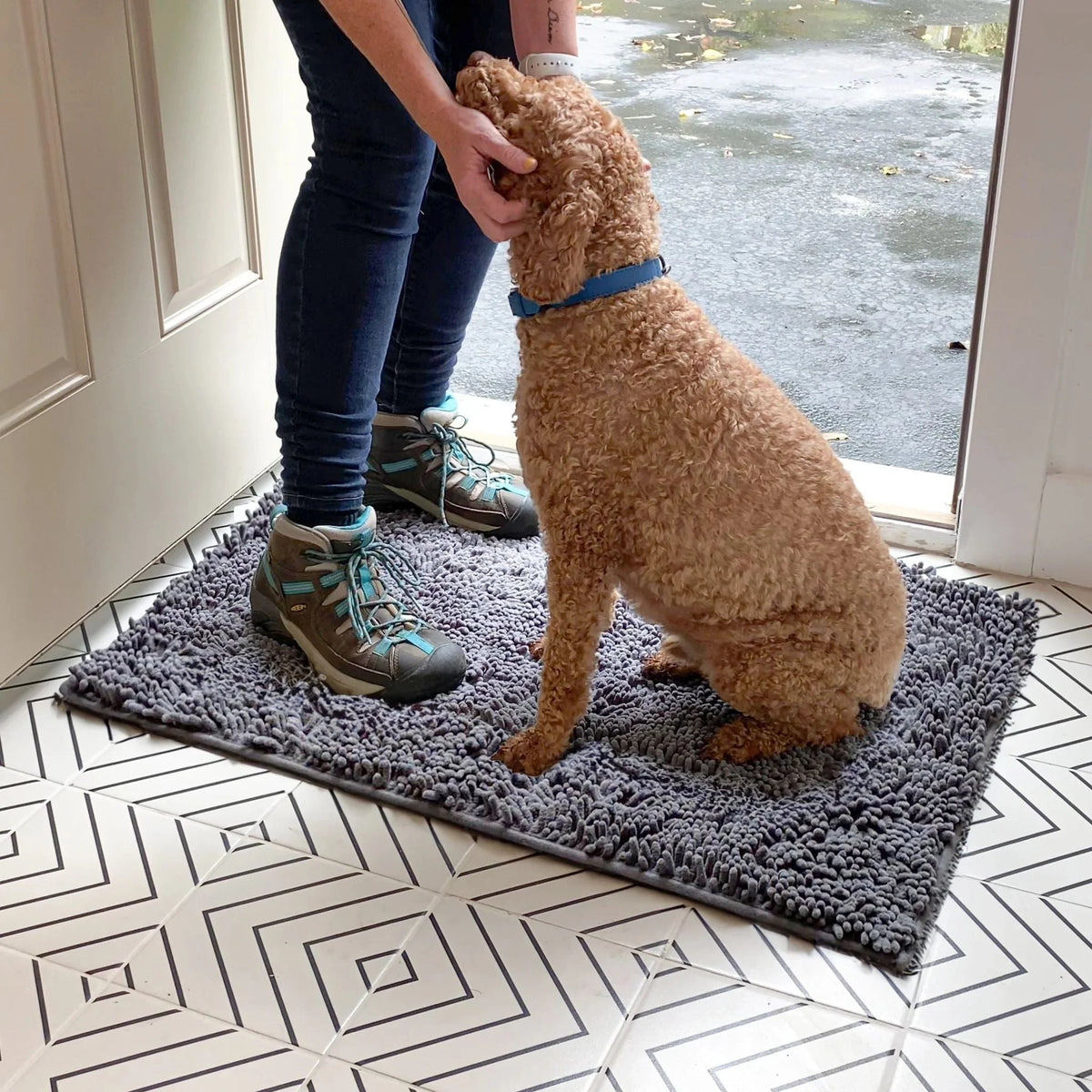 Dog Door Mat Absorbent Non-Slip Surface