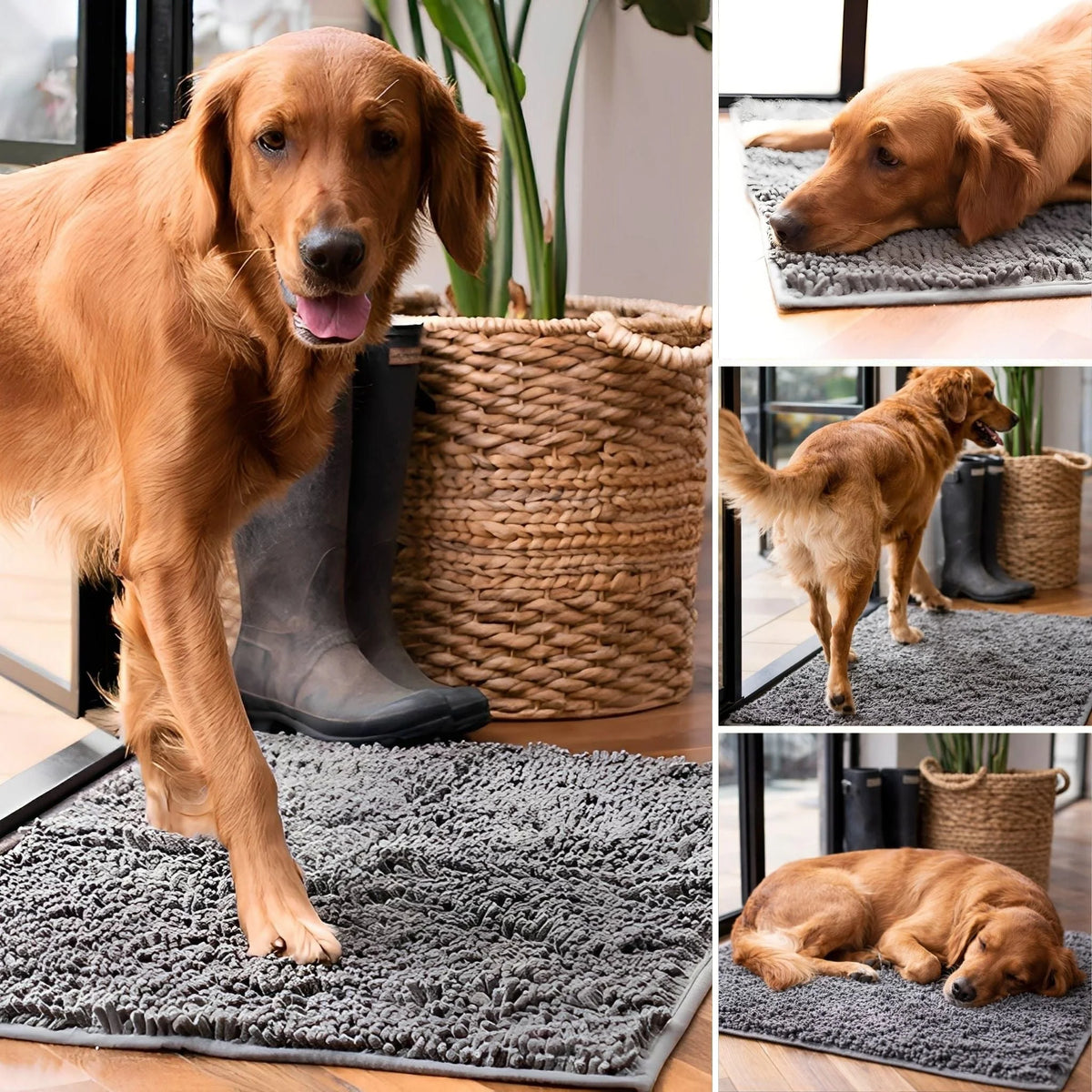 Dog Door Mat Absorbent Non-Slip Surface