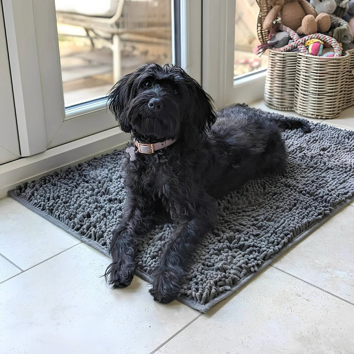 Dog Door Mat Absorbent Non-Slip Surface