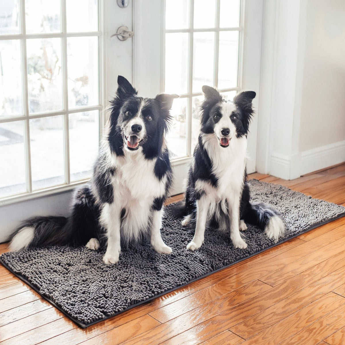 Dog Door Mat Absorbent Non-Slip Surface