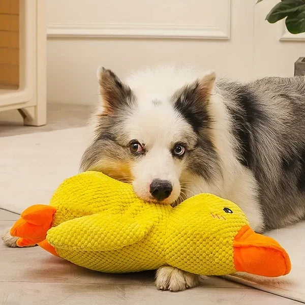 Dog Duck Toy Durable Quack Sound