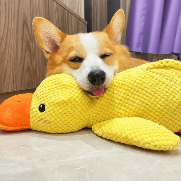 Dog Duck Toy Durable Quack Sound