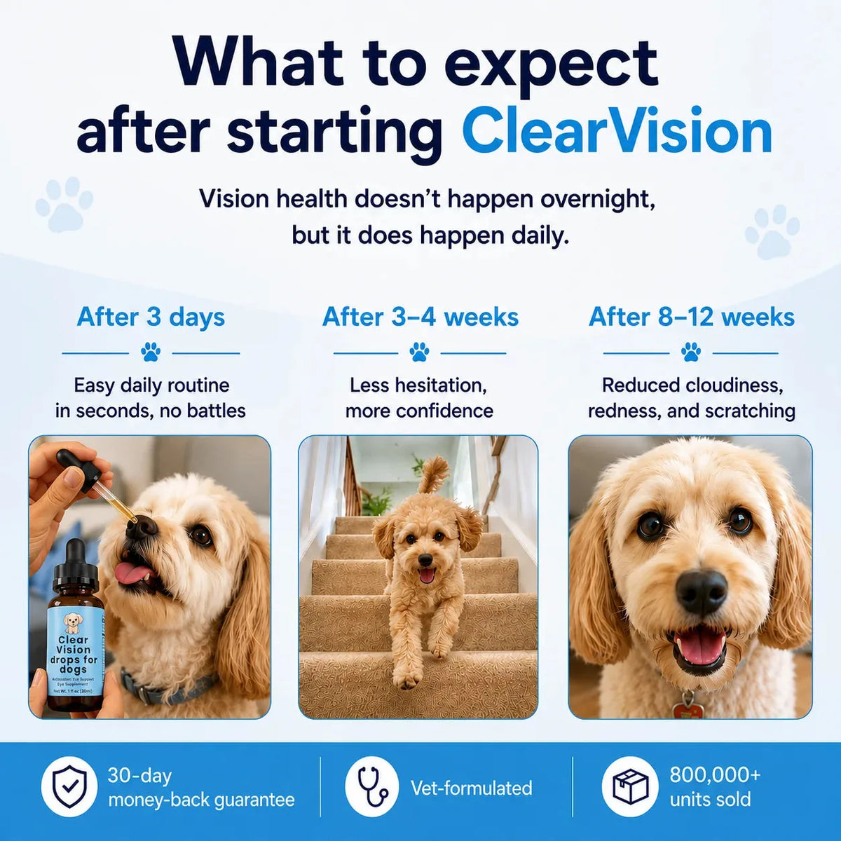 Dog Eye Support Drops Food-Drop Format Daily Use