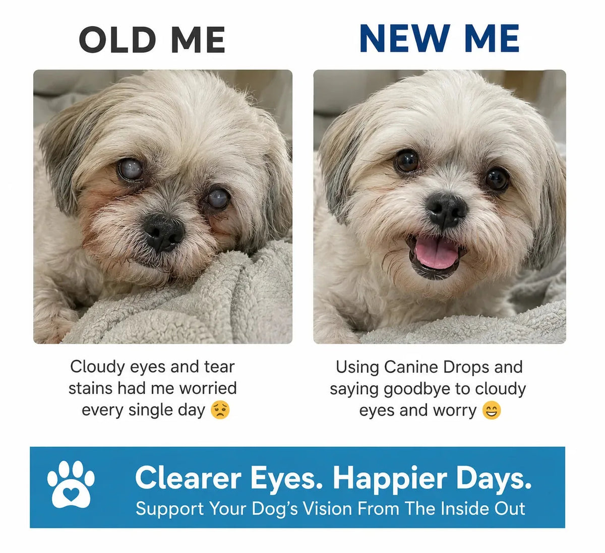 Dog Eye Support Drops Food-Drop Format Daily Use