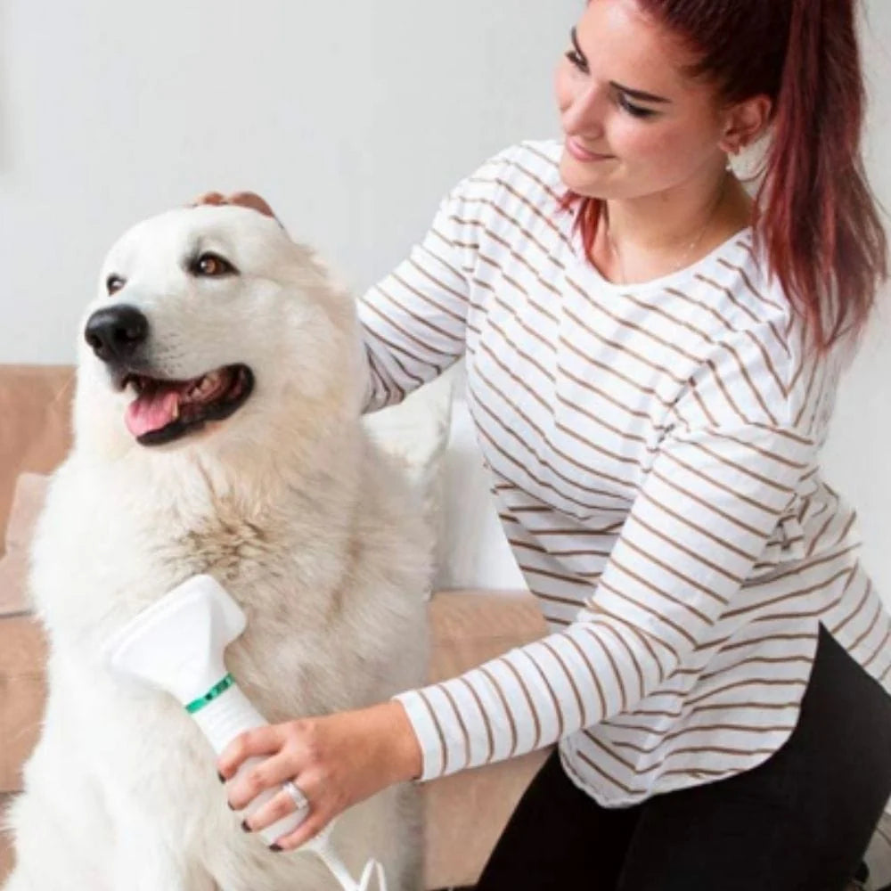 Dog Hair Dryer Brush Quiet Detangling Two Heat Settings