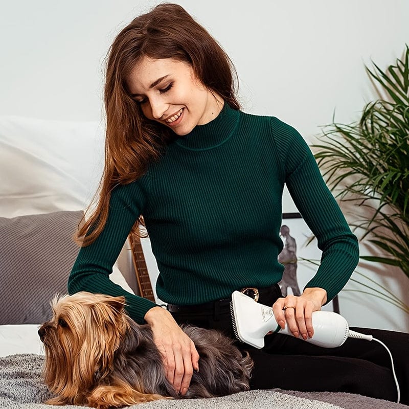 Dog Hair Dryer Brush Quiet Detangling Two Heat Settings