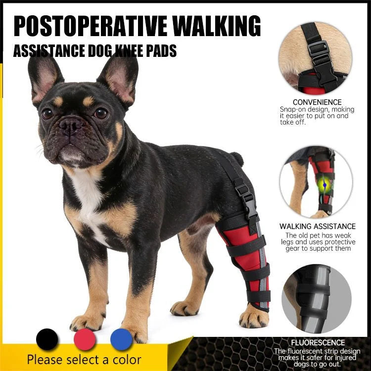 Dog Hind Leg Brace Stabilizing Support All-Season Wear