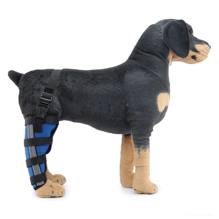 Dog Hind Leg Brace Stabilizing Support All-Season Wear