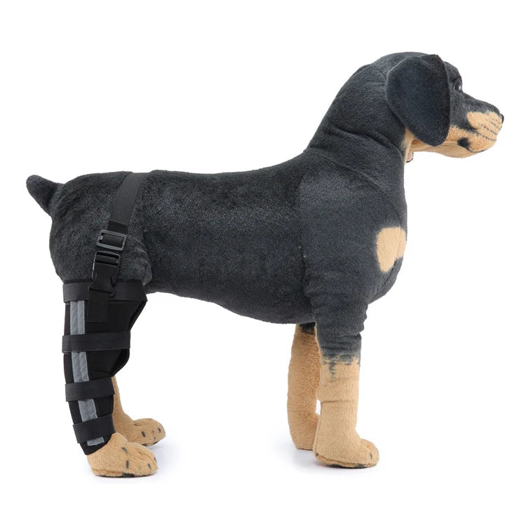 Dog Hind Leg Brace Stabilizing Support All-Season Wear