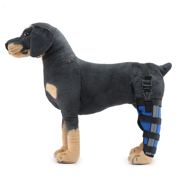 Dog Hind Leg Brace Stabilizing Support All-Season Wear