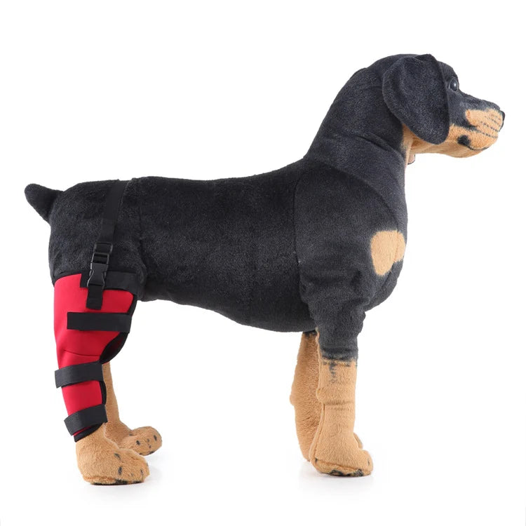 Dog Hind Leg Brace Stabilizing Support All-Season Wear