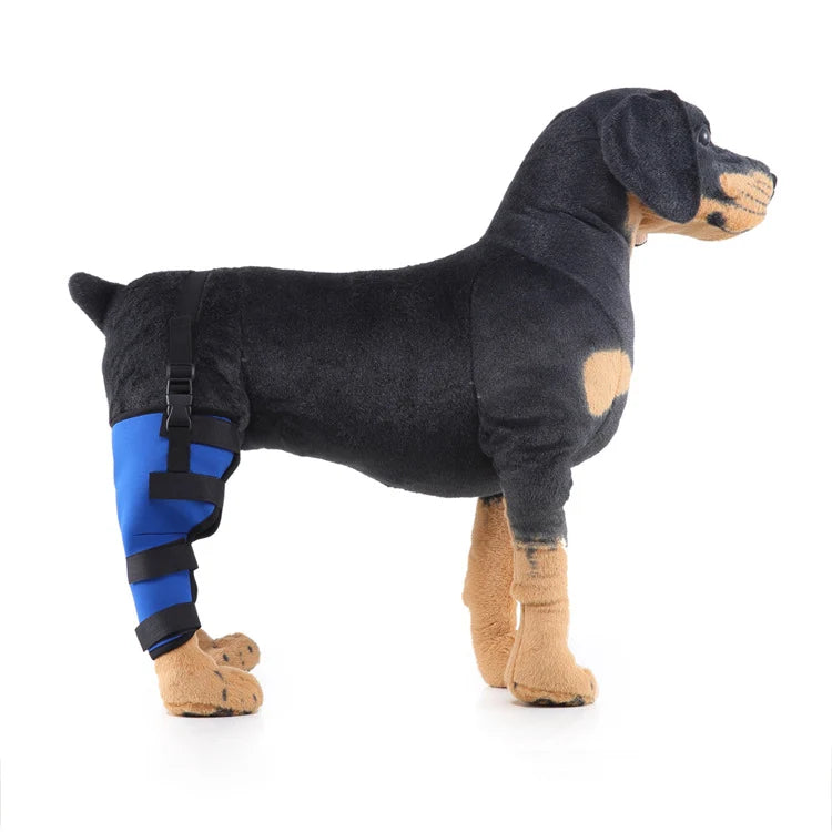 Dog Hind Leg Brace Stabilizing Support All-Season Wear