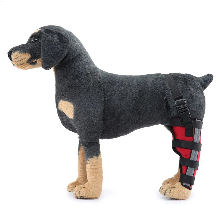 Dog Hind Leg Brace Stabilizing Support All-Season Wear