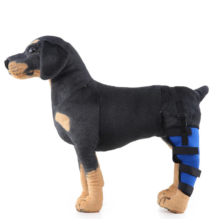Dog Hind Leg Brace Stabilizing Support All-Season Wear