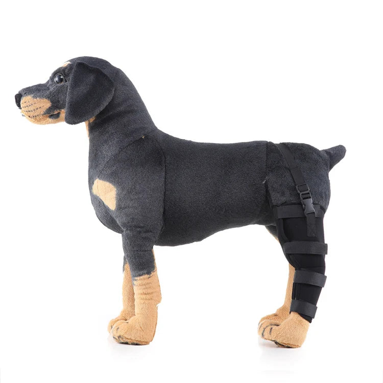 Dog Hind Leg Brace Stabilizing Support All-Season Wear