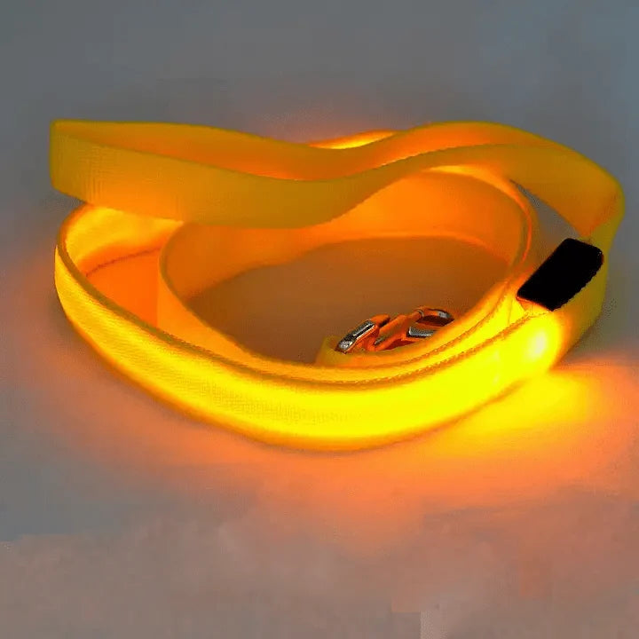 Dog Leash LED Light Reflective USB Rechargeable