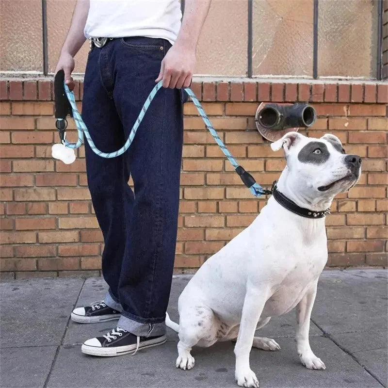 Dog Leash Reflective Stitching Padded Grip Double Rope Nylon