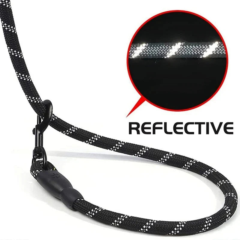 Dog Leash Reflective Stitching Padded Grip Double Rope Nylon