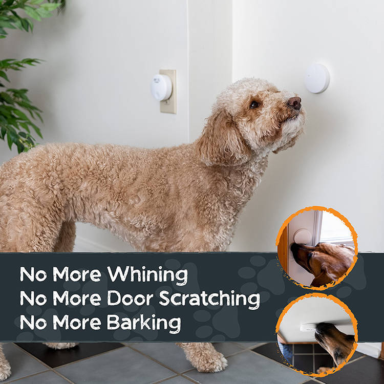 Dog Potty Training Doorbell Wireless 1,000-Ft Range