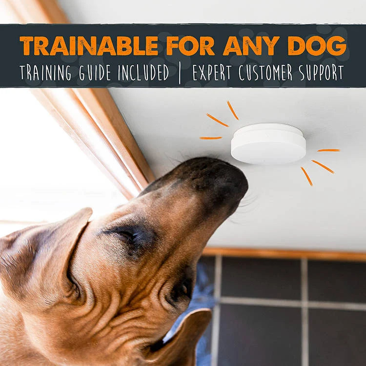Dog Potty Training Doorbell Wireless 1,000-Ft Range