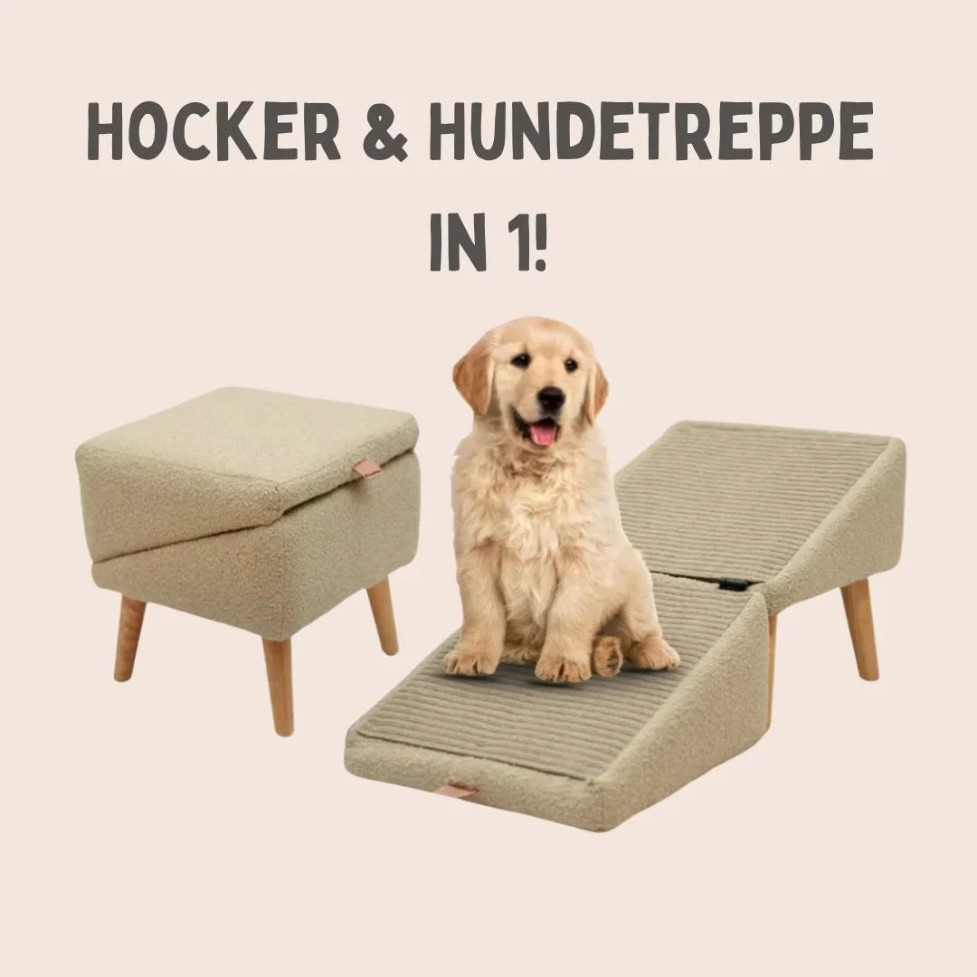 Dog Ramp & Stool 2-In-1 Non-Slip Cover