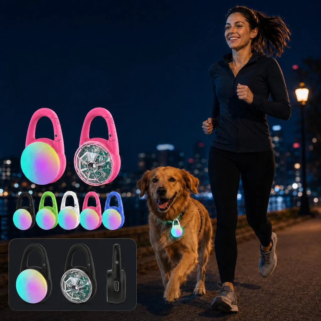 Dog Safety Light Clip-On RGB USB-C Rechargeable Water-Resistant