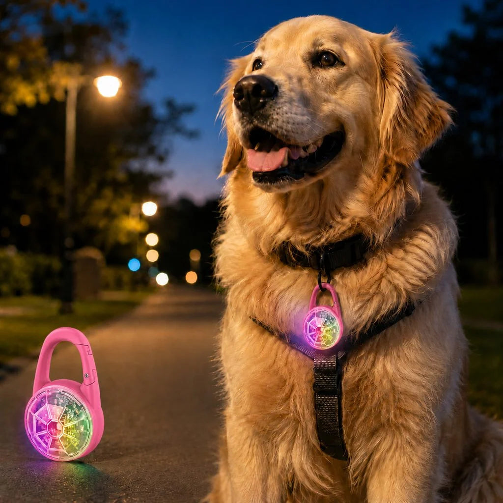Dog Safety Light Clip-On RGB USB-C Rechargeable Water-Resistant